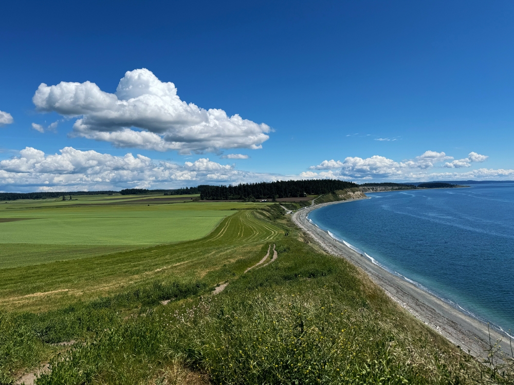 Ebey,Prairie,On,Whidbey,Island.,A,Beautiful,Ocean,And,Bluff